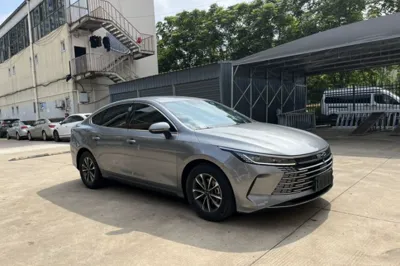 BYD Destroyer 05 2023, 45700 км, за 8798 USD - фото 14