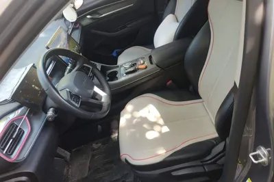 BYD Destroyer 05 2023, 45700 км, за 8798 USD - фото 23