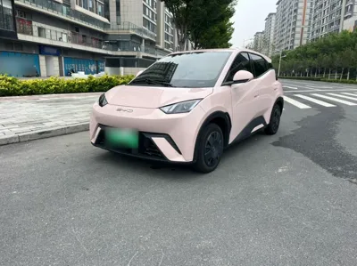 BYD Seagull · 2024 год