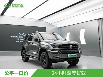 Tank Tank 400 New Energy 2023, 34000 км, за 28369.08 USD