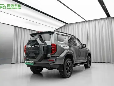 Tank Tank 400 New Energy 2023, 34000 км, за 28369.08 USD - фото 6