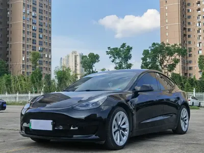 Tesla Model 3 · 2021 год