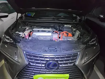 Lexus NX 2019, 111700 км, за 19477.81 USD - фото 11