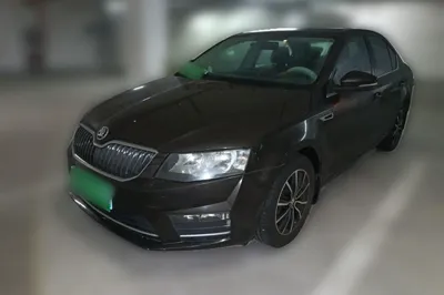 Skoda Octavia · 2017 год