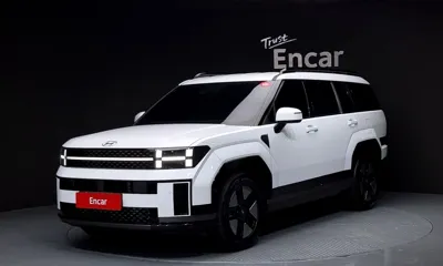 Hyundai Santafe · 2024 год