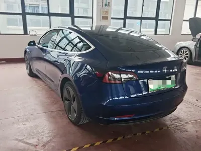 Tesla Model 3 2019, 47000 км, за 16767.58 USD