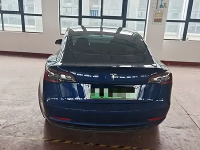 Tesla Model 3 2019, 47000 км, за 16767.58 USD