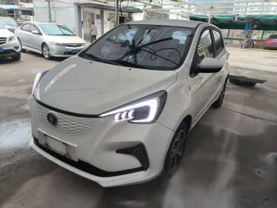 Changan Auchan Benben E-Star · 2022 год