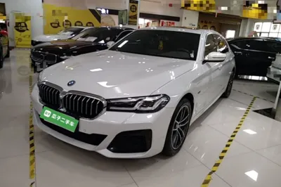 BMW 5 Series New Energy · 2021 год
