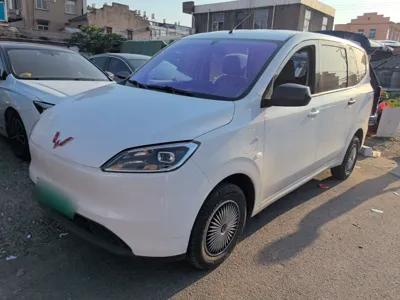 Wuling Hongguang New Energy · 2024 год