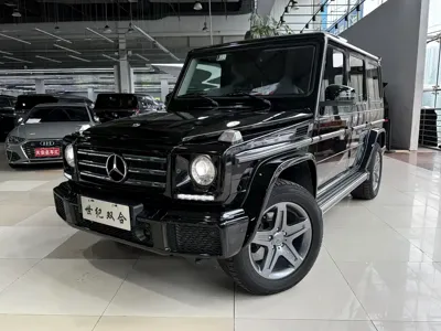 Mercedes-Benz G-Class · 2017 год