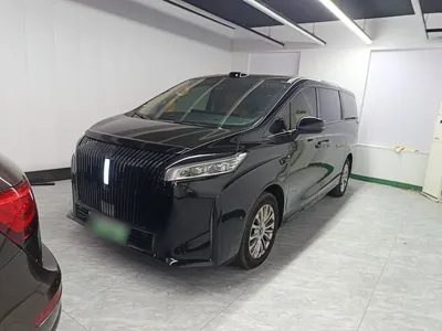 WEY Gaoshan · 2025 год