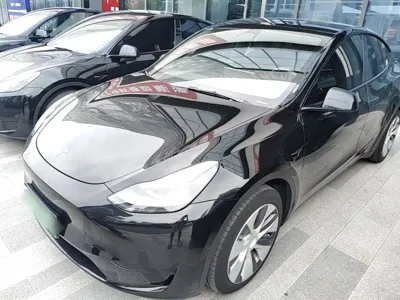 Tesla Model Y · 2023 год
