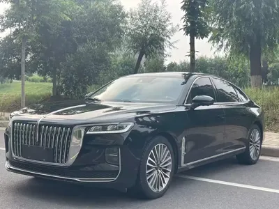 Hongqi Hongqi H9 · 2021 год