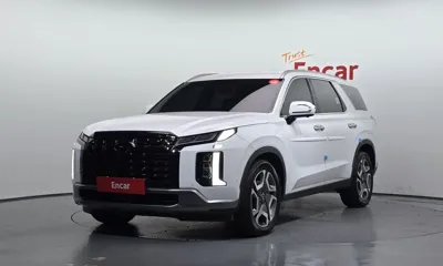 Hyundai Palisade · 2024 год