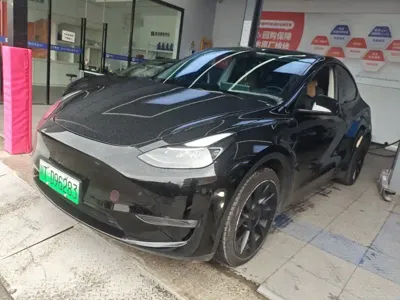 Tesla Model Y · 2021 год