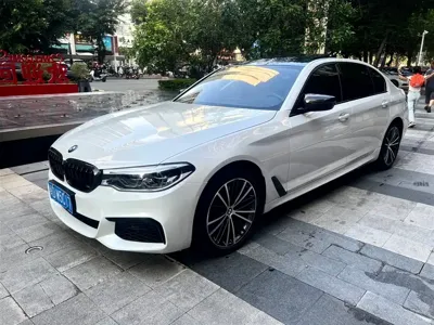 BMW 5 Series · 2020 год