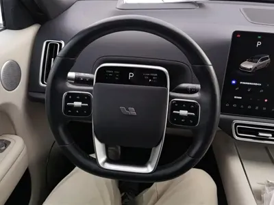 Li Auto Li L9 2022, 42300 км, за 30794.59 USD - фото 15