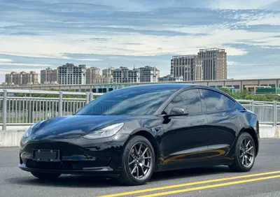 Tesla Model 3 · 2021 год