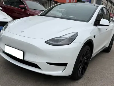 Tesla Model Y · 2024 год
