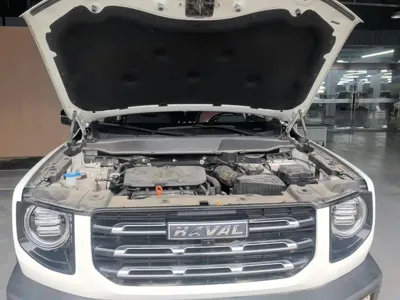 Haval Big Dog 2022, 13700 км, за 12080.4 USD - фото 20