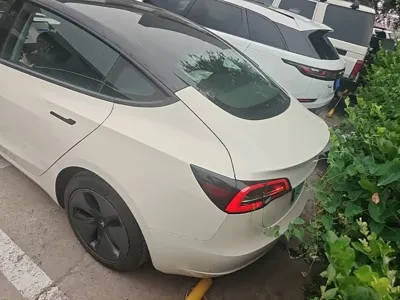 Tesla Model 3 2019, 49700 км, за 17818.96 USD