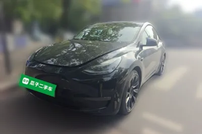 Tesla Model Y · 2021 год