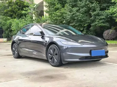 Tesla Model 3 2024, 20000 км, за 24647.78 USD