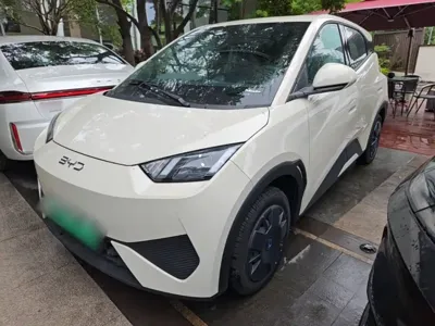 BYD Seagull 2026, 100 км, за 8735.5 USD