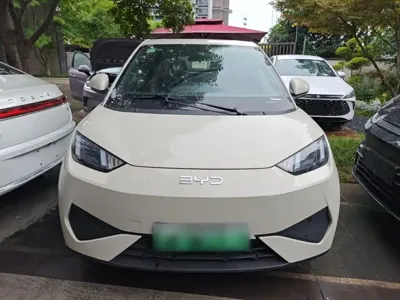 BYD Seagull 2026, 100 км, за 8735.5 USD