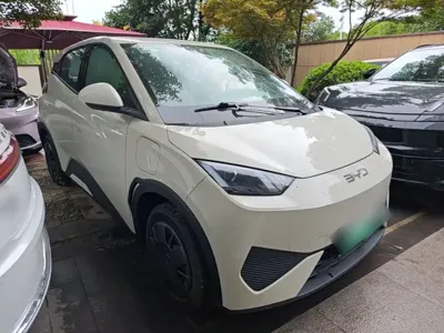 BYD Seagull 2026, 100 км, за 8735.5 USD