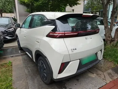 BYD Seagull 2026, 100 км, за 8735.5 USD