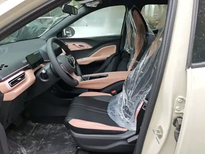 BYD Seagull 2026, 100 км, за 8735.5 USD - фото 15