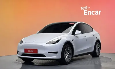Tesla Model Y · 2024 год