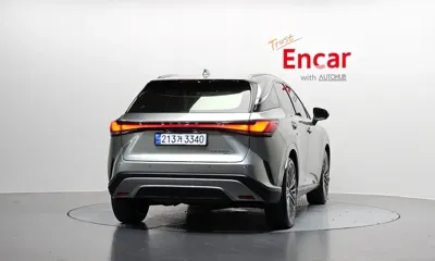 Lexus RX 2024, 30515 км, за 52703.61 USD