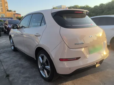 ORA Good Cat 2022, 52600 км, за 10253 USD - фото 4