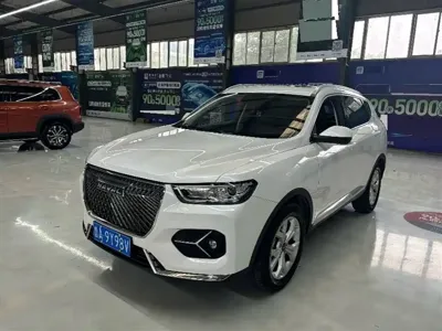Haval H6 · 2020 год