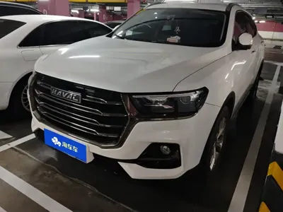 Haval H6 · 2021 год