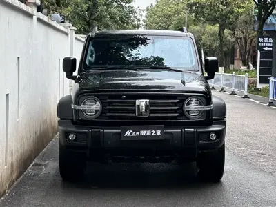 Tank Tank 300 2024, 64000 км, за 22566.54 USD