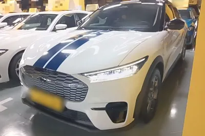 Ford Mustang Mach-E · 2021 год