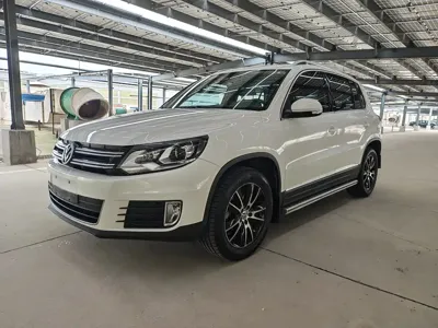 Volkswagen Tiguan · 2015 год