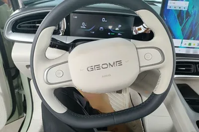 Geely Galaxy Geome 2025, 20600 км, за 11330 USD - фото 13