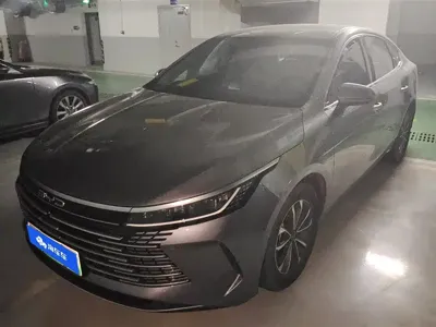 BYD Destroyer 05 · 2023 год