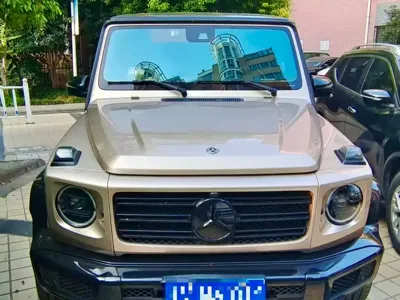 Mercedes-Benz G-Class · 2020 год
