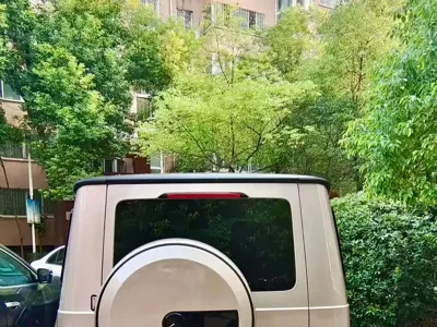 Mercedes-Benz G-Class 2020, 62000 км, за 202234.42 USD