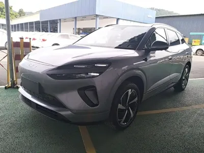 BYD 海狮06 2026, 100 км, за 19420.35 USD