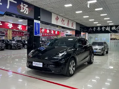 Tesla Model Y · 2022 год