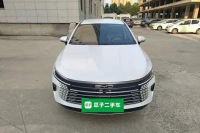 BYD Destroyer 05 2024, 47699 км, за 9749 USD