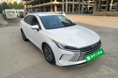 BYD Destroyer 05 2024, 47699 км, за 9749 USD