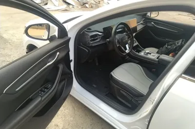 BYD Destroyer 05 2024, 47699 км, за 9749 USD - фото 18